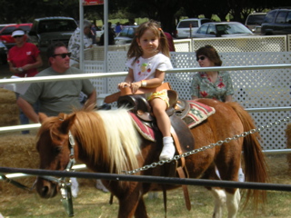 Pony Ride