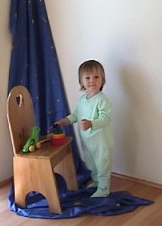 Ecobaby Model