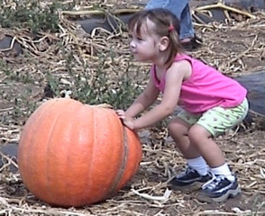 Pumpkin Patch