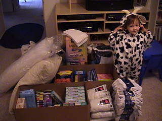 Fire Relief Efforts
