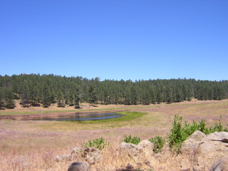 The Lake