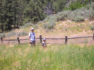 Hiking Back