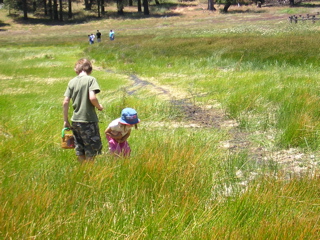 Frog Hunting