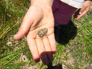 Aleshia Caught Her First Frog!