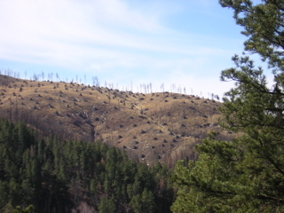Deadwood SD