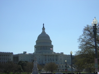 Our Nation's Capitol In Spring