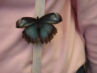 Pretty