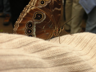 Details